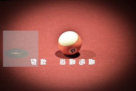 贷款 当期逾期 贷款 当期逾期
